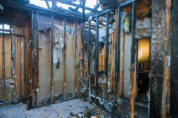 Professional Structural Rebuild technician working in Highland Springs, VA